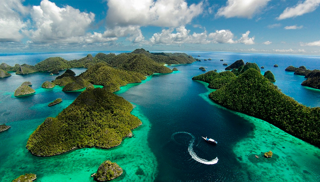 इण्डोनेशियामा कुकर र बिरालोको मासु बिक्रीमा प्रतिबन्ध