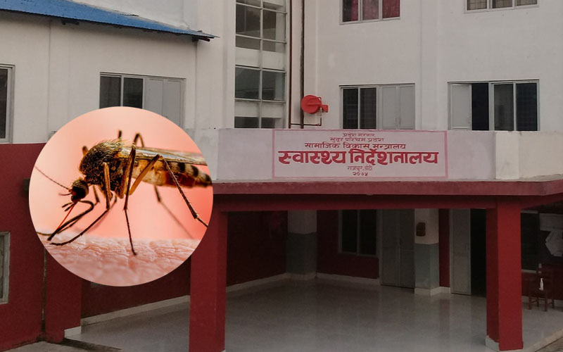 डेंगु सार्ने लामखुट्टेको लार्भा सङ्कलन, जापानमा अध्ययनको तयारी