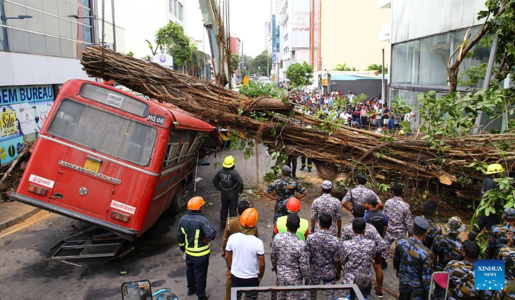 श्रीलङ्कामा गुडिरहेको बसमा रुख खसेपछि…