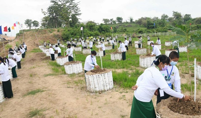 वर्षायाममा दुई करोड रुख रोप्ने म्यान्मारको तयारी