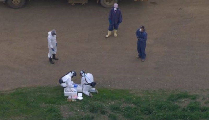 अस्ट्रेलियामा भेटियो बर्ड फ्लुको पहिलो मानव केस