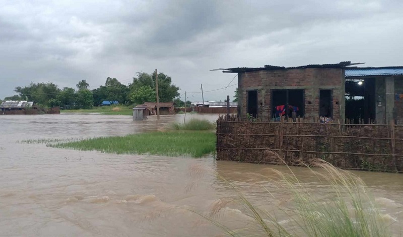बाढी पहिरोबाट मृत्यु हुनेको संख्या ९९ पुग्यो, ७२ जना बेपत्ता